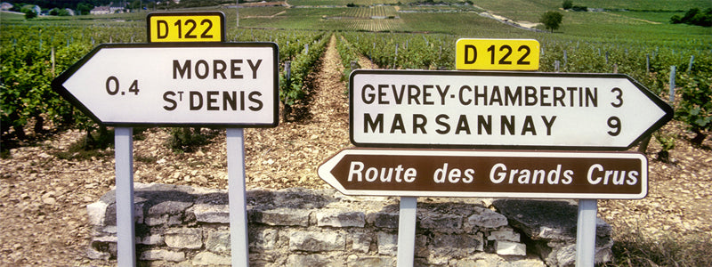 CAVISTE GUIDE TO BURGUNDY 2016
