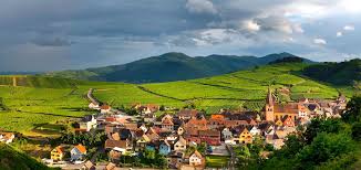 Discovering French Vineyards, Alsace