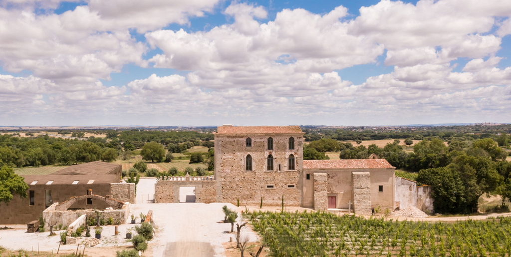 2019 Fitapreta Touriga Via Nua Just Landed