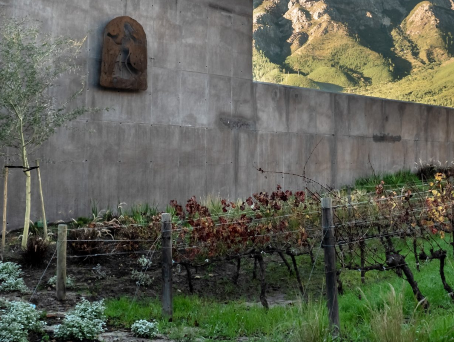 2019 Porseleinberg Syrah - LIMITED PARCEL