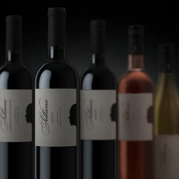 Case: Bodegas Sottano Mixed Case - Caviste Wine