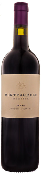 Bottle of 2013 Bressia Monteagrelo Syrah - Caviste Wine