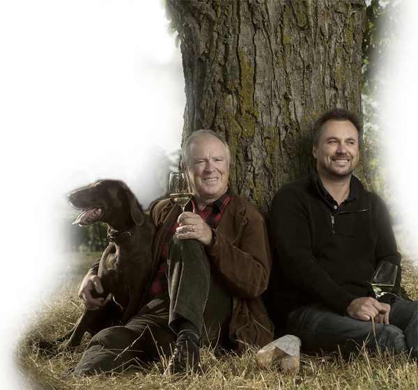 Brocard Chablis - Pere et Fils - Virtual Tasting