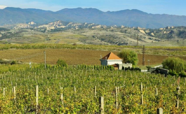 The Winemaking Women of Bulgaria - Tasting & Supper