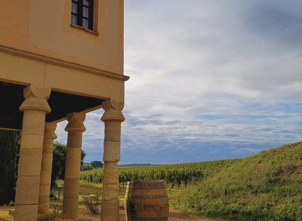Case: Capion Mixed Case - Caviste Wine