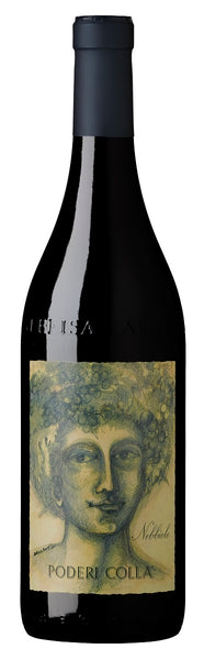 Bottle of 2013 Nebbiolo d'Alba, Poderi Colla, Piedmont, Italy - Caviste Wine