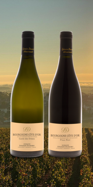 Case: Domaine Sylvain Dussort Bourgogne Case - Caviste Wine