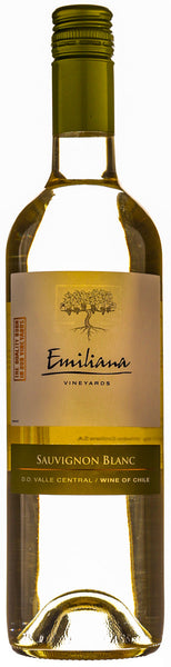 Bottle of 2019 Karu Sauvignon Blanc, Chile - Caviste Wine