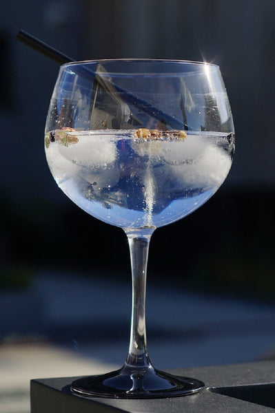 Gin Fest #2 2017 - Caviste
