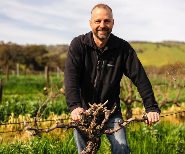 Case: Schwarz Mixed Case Offer - Caviste Wine