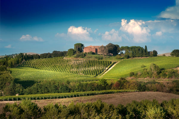Case: Italian Summer Mixed Case - Caviste Wine