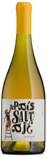 Bottle of 2018 Bouchon Family Wines Pais Salvaje Blanco, Chile - Caviste Wine