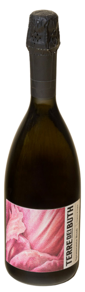 NV Terre dei Buth Prosecco Rosé