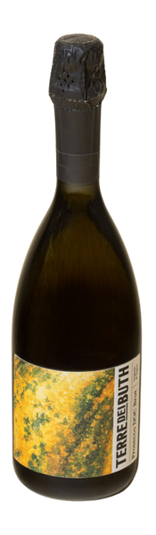 NV Terre dei Buth Prosecco Brut