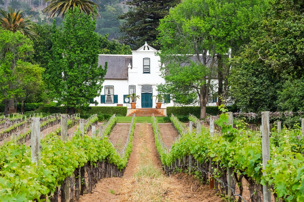 Wines of South Africa Zoom Tasting