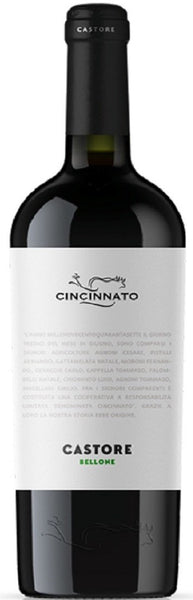 Bottle of 2020 Cincinnato Castore Bellone, Italy - Caviste Wine