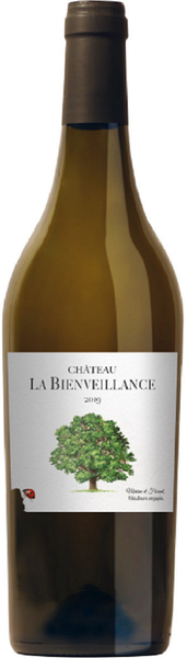 Bottle of 2019 Chateau Bienveillance Bordeaux Blanc, France - Caviste Wine