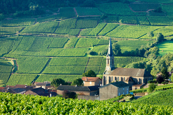 Burgundy Tasting and Wine Supper