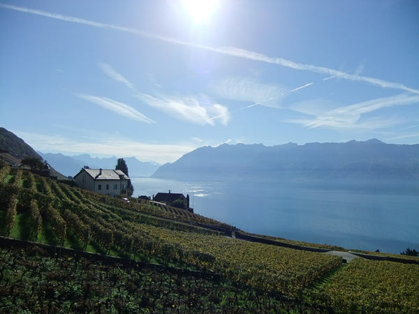 A Virtual Journey through Switzerland and Austria