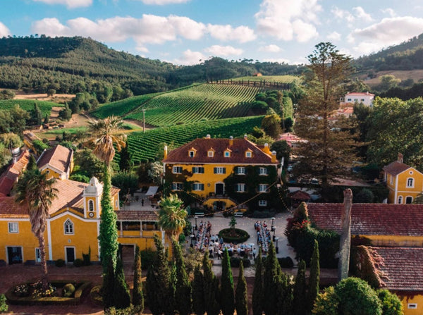 Portuguese Treasure Tasting – the wines of Quinta de Sant’Ana