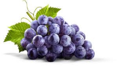Case: Syrah/Shiraz Mixed Case - Caviste Wine