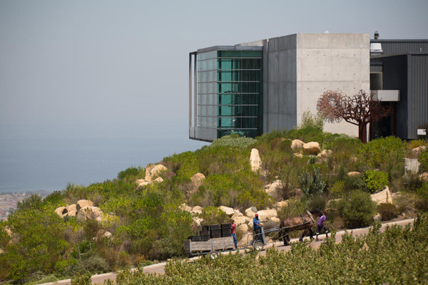 Waterkloof Zoom Wine Tasting